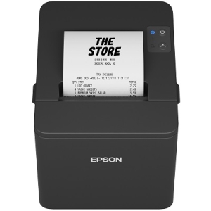 EPSON POS Printer TM-T20IV(101)